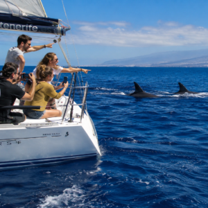 Avistamientos de ballenas y catering en Soñador Sailing Tenerife